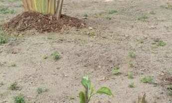 Imagem 4: Vendo ou troco casa em Vale Verde - Bahia