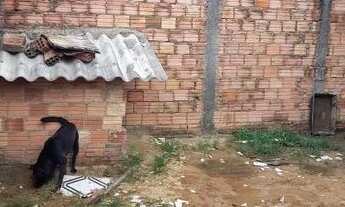 Imagem 3: Casa aluguel Casa com 2 dormitórios