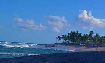 Imagem 14: Venha pra temporada +Barata da Orla em Salvador