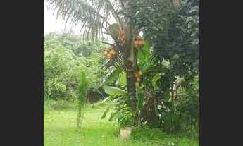 Imagem 2: Sitio com casa e piscina mil metro quadrado livre