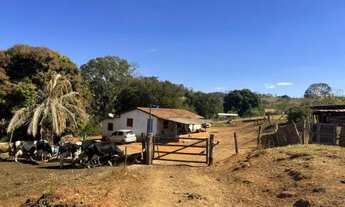 Imagem 4: Chácara em Nerópolis 3 alq. só R$ 1.500.000