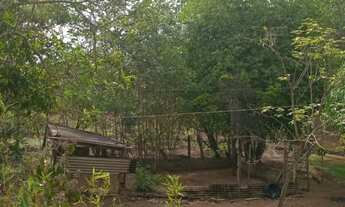 Imagem 6: Ótima chácara na ponte alta