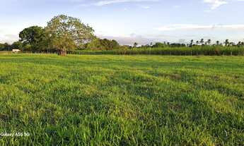 Imagem 2: Belíssimo sítio de 19.9t, com uma boa casa de 4/4 e piscina