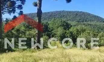 Imagem 7: Chácara em R S 235 Linha Araripe - Araripe - Gramado/RS