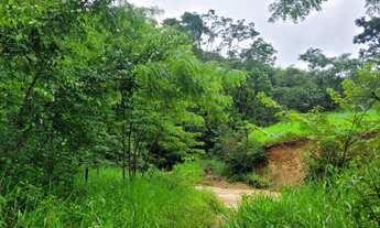 Imagem 7: FAZENDA 337 ALQUEIRES NIQUELANDIA - GO