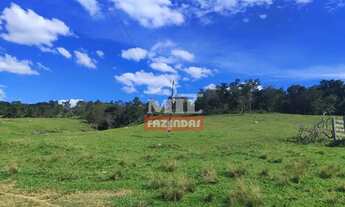 Imagem 6: Fazenda 110 alqueires (532,4HAC) Anicuns - GO