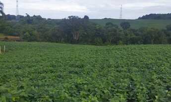 Imagem 2: FAZENDA 40 ALQUEIRES MUNICIPÍO DE EDEIA-GO
