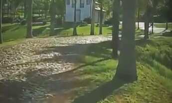 Imagem 3: Repasse de Lote em Condomínio Fechado - Serra Morena