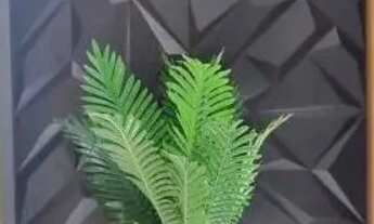 Imagem 2: DUPLEX - CENTRO - SP