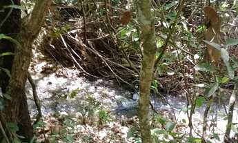 Imagem 7: Excelente terreno(chácara 13mil mts?