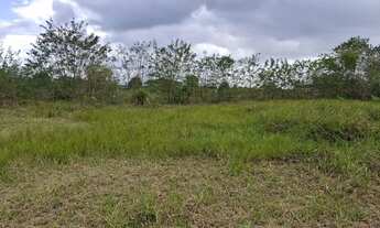 Imagem 2: ÁREA EM SÃO GONÇALO - 4000m²