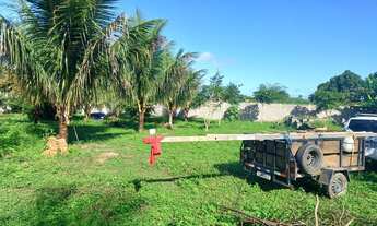 Imagem 5: Propriedade em Amélia Rodrigues