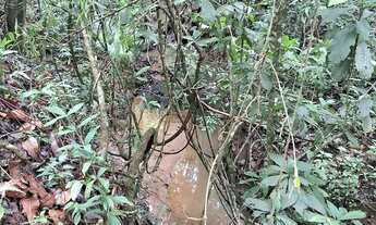 Imagem 4: Sítios e chacaras Anápolis