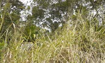 Imagem 6: Vende-se terreno 6764 m2 em frente a praia do Forte Jurere