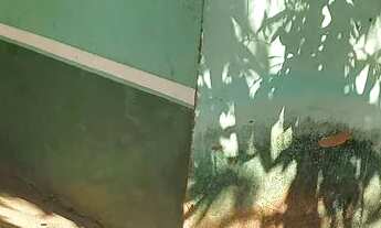 Imagem 3: Vendo ou troco casa muito grande depois do posto dangelis