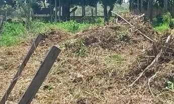 Imagem 7: Vendo esse lindo terreno na AM 070 / 7 minutos do miriti