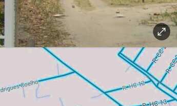 Imagem 6: Terreno bem arborizado