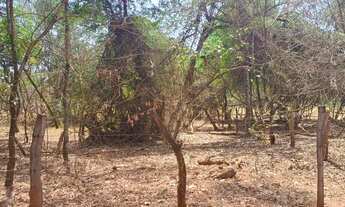 Imagem 3: Área 3940 m² região noroeste Área / Terreno à Venda, 3940.00 por R$ 600000.00 no setor Par