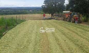 Imagem 3: Chácara em Silvânia-GO 3,2 Alqueires de Terra de Cultura, com Área de Lavoura, Pastagens