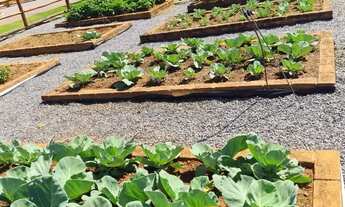 Imagem 4: Imóvel para venda possui 1746 metros quadrados com 3 quartos em Centro - Trindade - GO