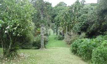 Imagem 2: A PROPRIEDADE EM PENEDO COM TERRENO DE 26.214,11M2