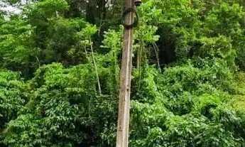 Imagem: Terreno para Venda em Nova Petrópolis