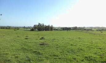 Imagem 6: Área de terras 11,67ha em Catanduvinha, Santo Antônio da Patrulha