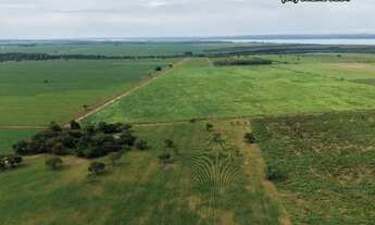 Imagem 5: Chácara de 2.500M² Próximo a Palmas Região do Prata