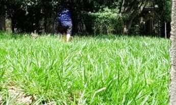 Imagem 2: Terreno Terreno / lote com venda por R$120.000