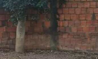 Imagem 7: Vendo casa no vale do amanhecer ,Planaltina df