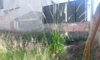 Imagem 4: Terreno à venda em Campinas, Botafogo, com 237 m²