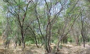 Imagem 2: Desapego! vender logo. valor negociável