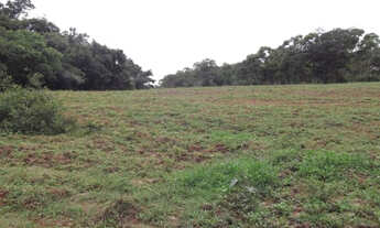 Imagem 5: Fazendinha de 5 ha, Jaboticatubas (Temos varias opções