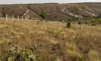 Imagem 3: Chacara Aguas Lindas só 140mil 20.000M2
