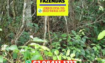 Imagem 2: Fazenda na região de Abreulandia no Tocantins