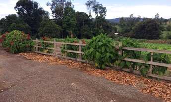 Imagem 6: Terreno 1.260,00,m², frente cercada, lugar alto linda vista, plano