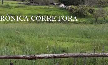 Imagem 2: Sítio venda em Rio Novo MG. 32 hectares