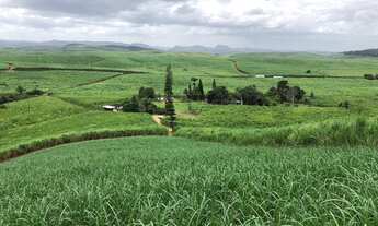 Imagem 2: Propriedade Rural em Escada-PE com 30 hectares, a 150 metros das Margens da BR-101