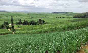 Imagem 7: Propriedade Rural em Escada-PE com 30 hectares, a 150 metros das Margens da BR-101