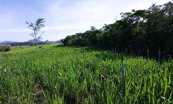 Imagem 7: Sítio em Belvedere