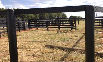 Imagem: FAZENDA COM 82 ALQUEIRES EM GENERAL SALGADO-SP