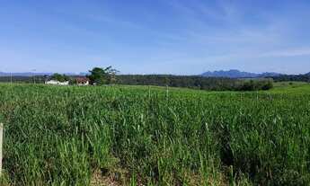 Imagem 6: Sítio em Belvedere