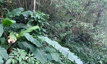 Imagem 6: Casa em condomínio seguro na Niemeyer com vista total para o oceano e rodeada pela florest