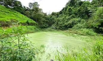 Imagem 5: Sitio a venda em Jacutinga MG