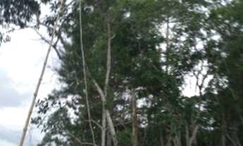 Imagem 6: Achou 80 mil reais 1,5 km da rodoviá sinal de celular chacrinha 11 9 3329-5660