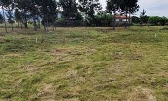 Imagem 4: Terreno em Passagem do Maciambu