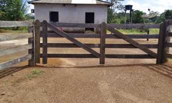 Imagem 4: Fazenda em rorainopolis