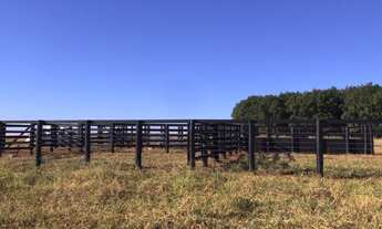 Imagem 4: FAZENDA COM 82 ALQUEIRES EM GENERAL SALGADO-SP