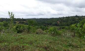Imagem 3: TERRENO EM CAJAZEIRAS DE ABRANTES