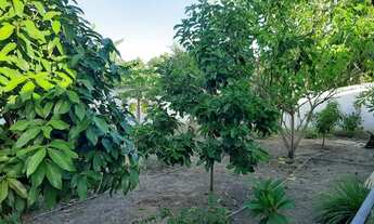 Imagem 7: Casa 4/4 , 2 suíte tipo mini chácara, no Marcos Freire